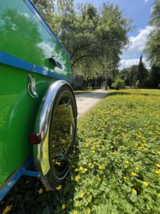 Grünes Lastenfahrrad auf einem Weg im Stadtpark in Moers, in einem Meer von Butterblumen, umgeben von Bäumen, die Sonne scheint und der Himmel ist blau mit wenigen Wolken.